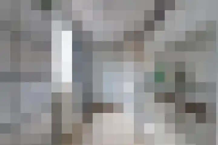 De Woert 16 Hijken thumbnail 12
