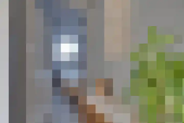 De Woert 16 Hijken thumbnail 13