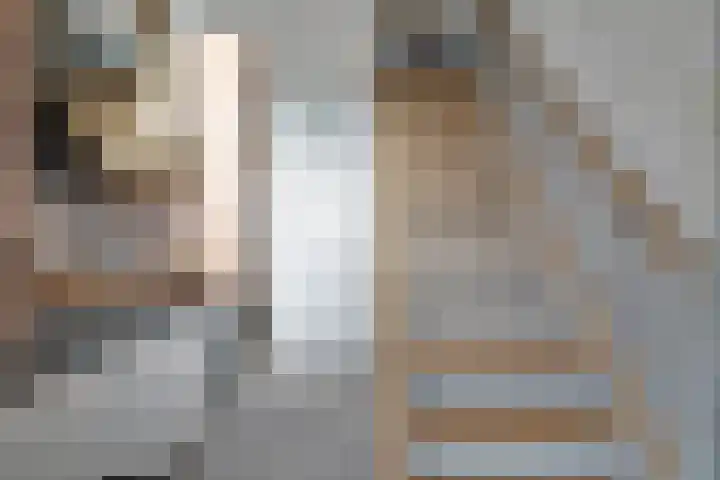 De Woert 16 Hijken thumbnail 18