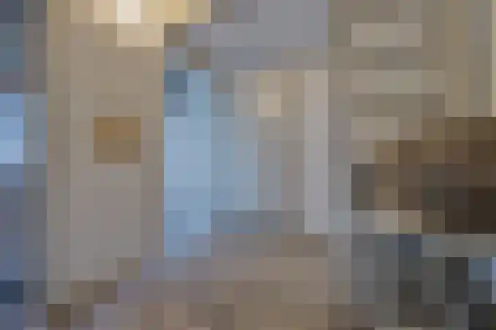 De Woert 16 Hijken thumbnail 19