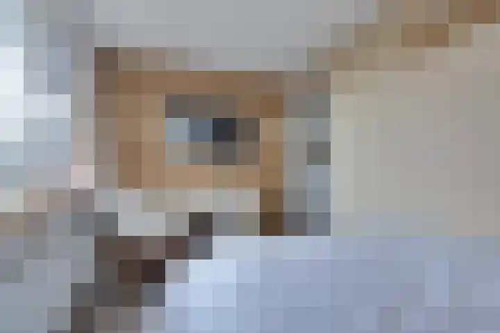 De Woert 16 Hijken thumbnail 22