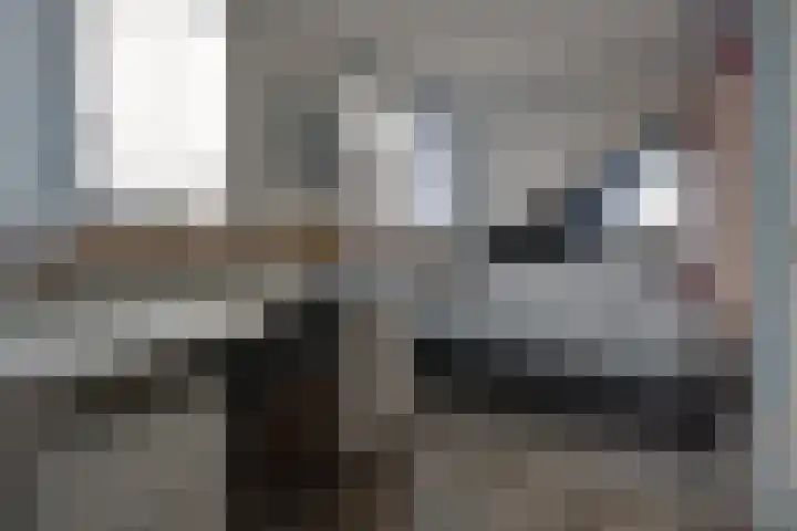 De Woert 16 Hijken thumbnail 27