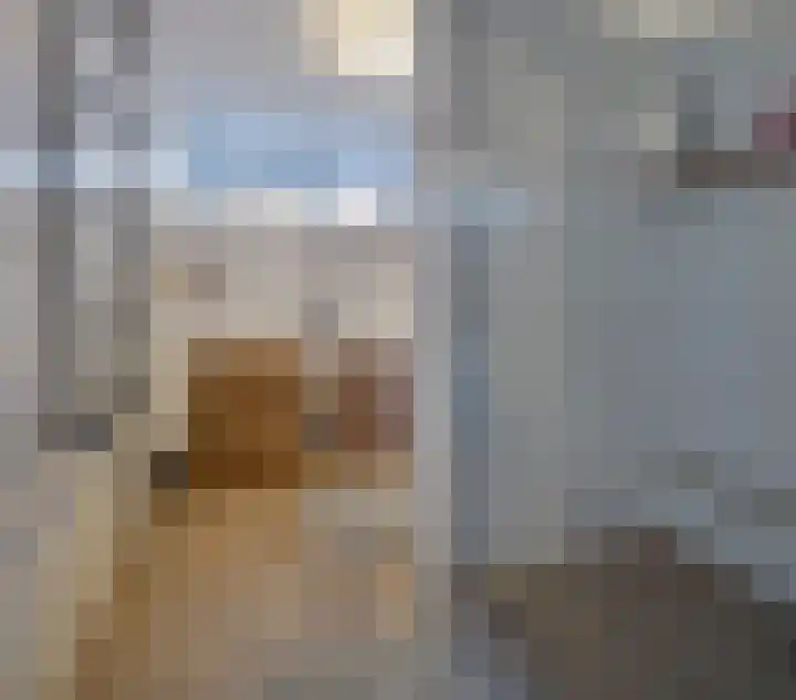 De Woert 16 Hijken thumbnail 28