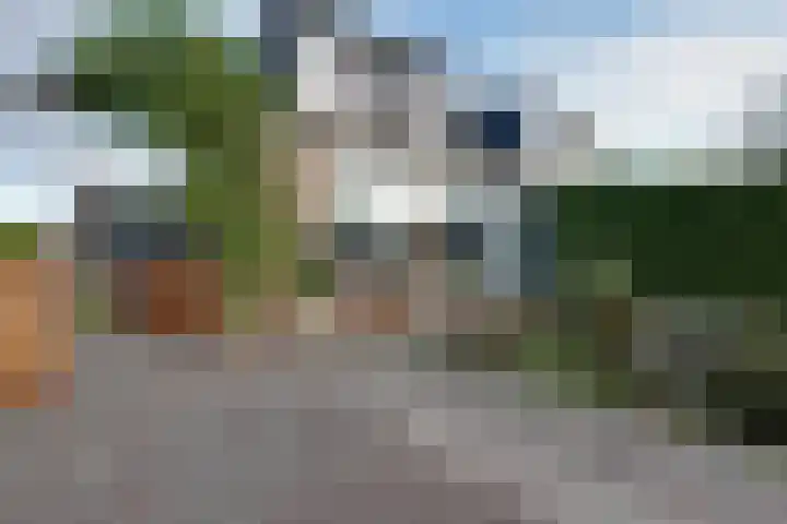 De Woert 16 Hijken foto 3