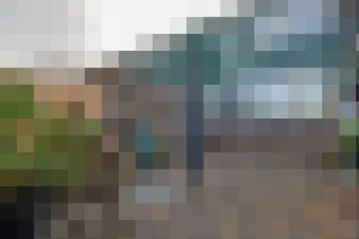 De Woert 16 Hijken thumbnail 30