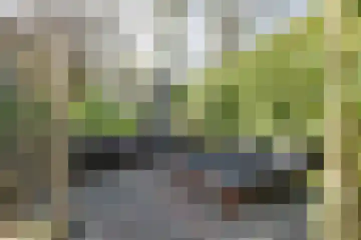 De Woert 16 Hijken thumbnail 33