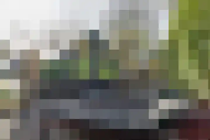 De Woert 16 Hijken thumbnail 34