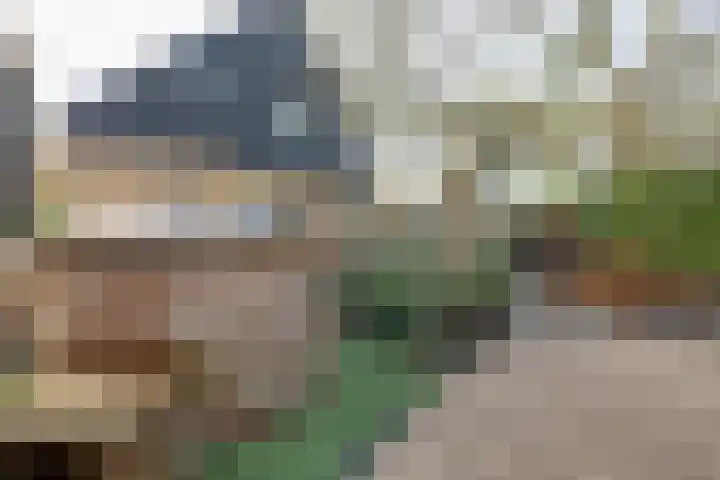 De Woert 16 Hijken thumbnail 35