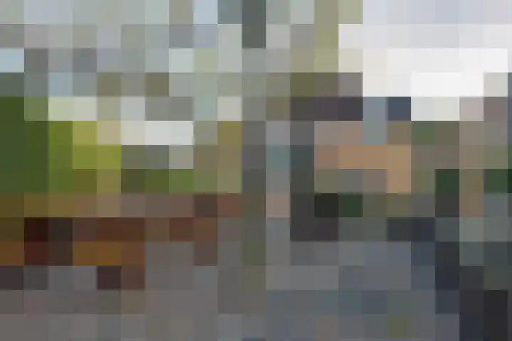 De Woert 16 Hijken thumbnail 36