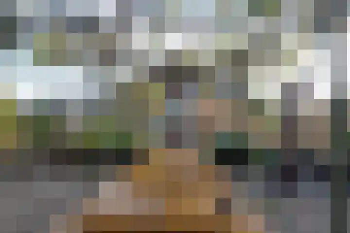 De Woert 16 Hijken thumbnail 37