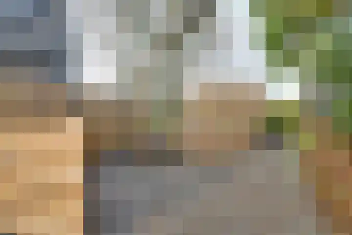 De Woert 16 Hijken thumbnail 38