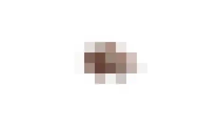 De Woert 16 Hijken thumbnail 44