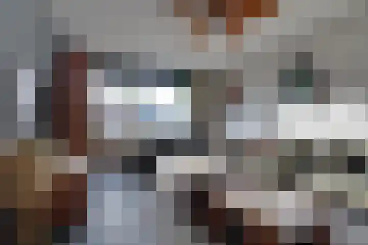 De Woert 16 Hijken thumbnail 5