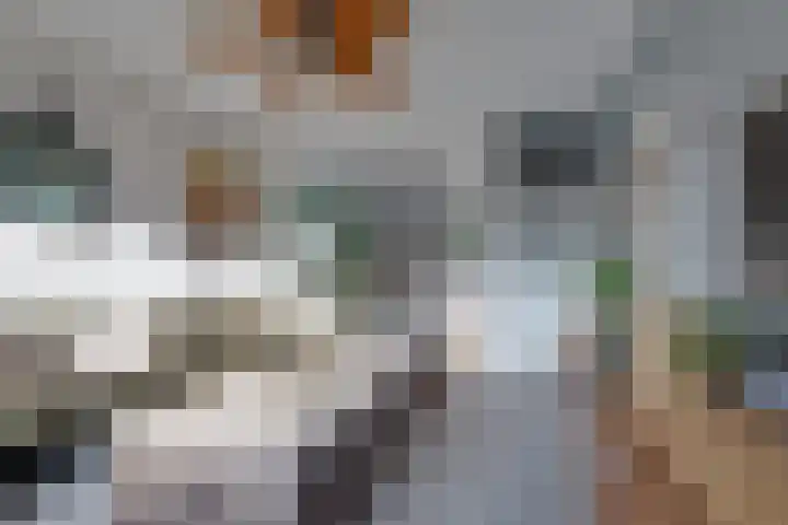 De Woert 16 Hijken thumbnail 6
