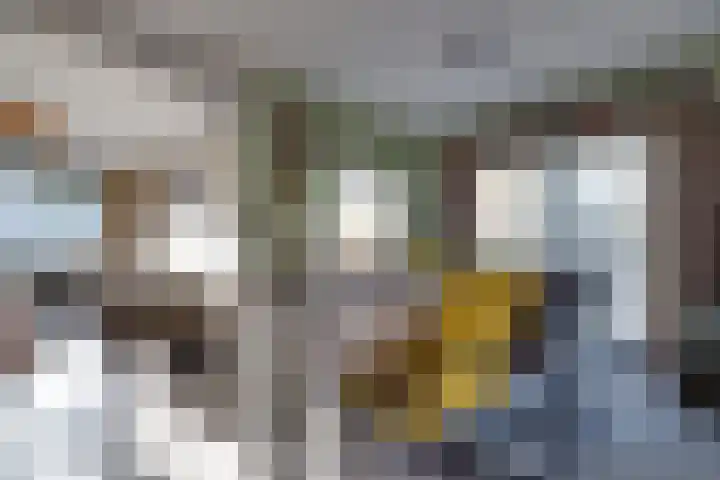 De Woert 16 Hijken thumbnail 7