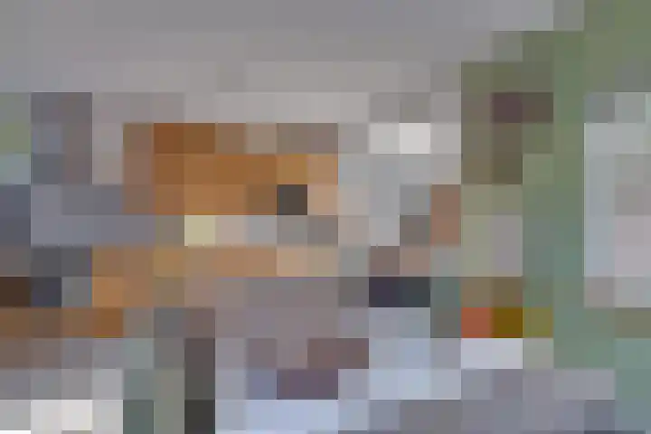 De Woert 16 Hijken thumbnail 8