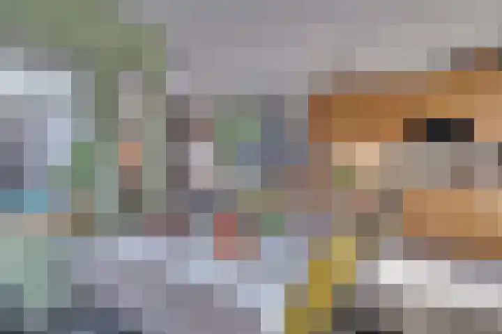 De Woert 16 Hijken thumbnail 9