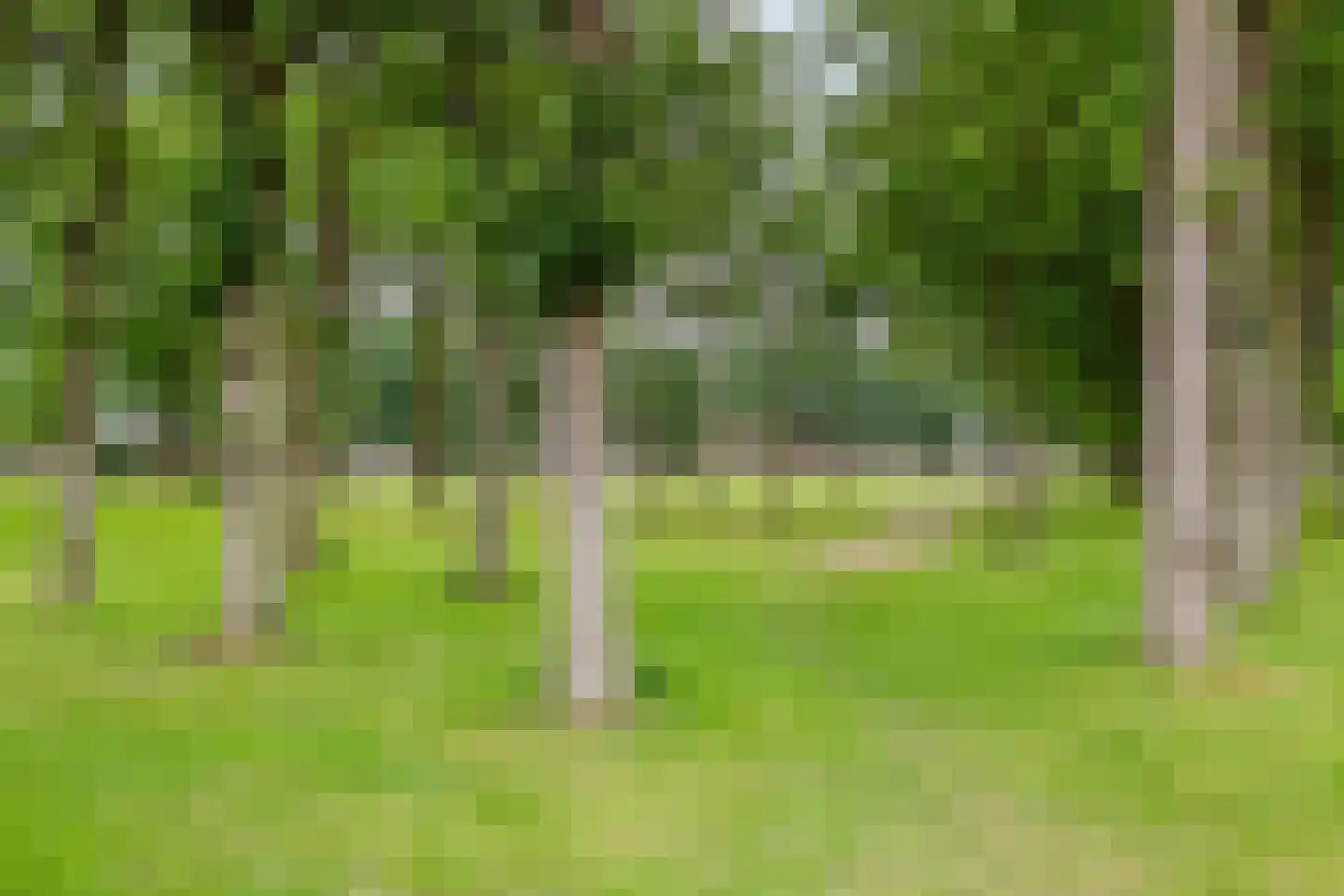De Wolden 47 Annen thumbnail 10