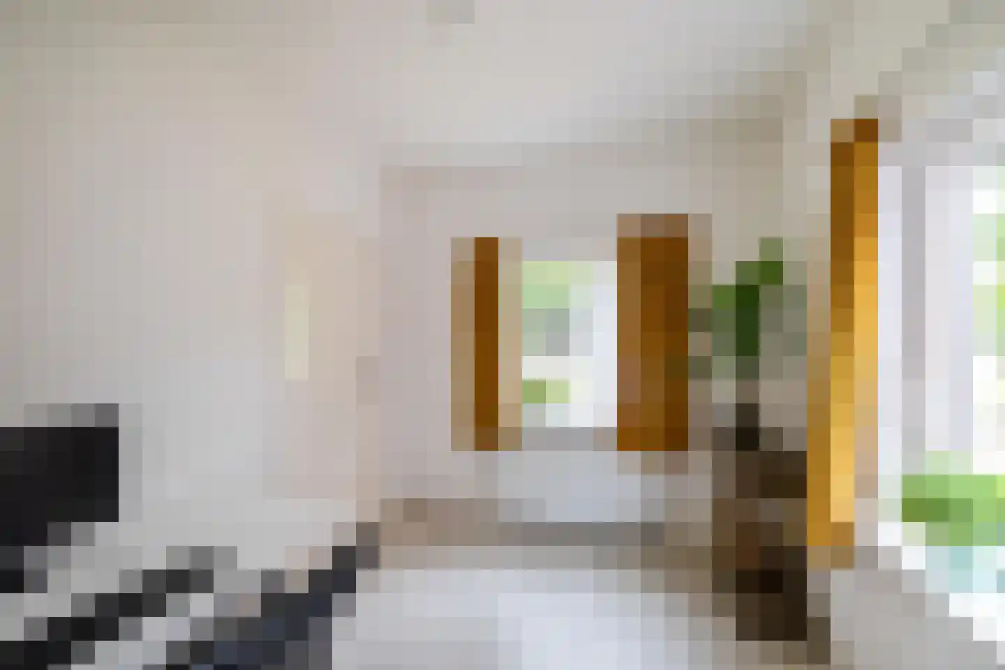 De Wolden 47 Annen thumbnail 14