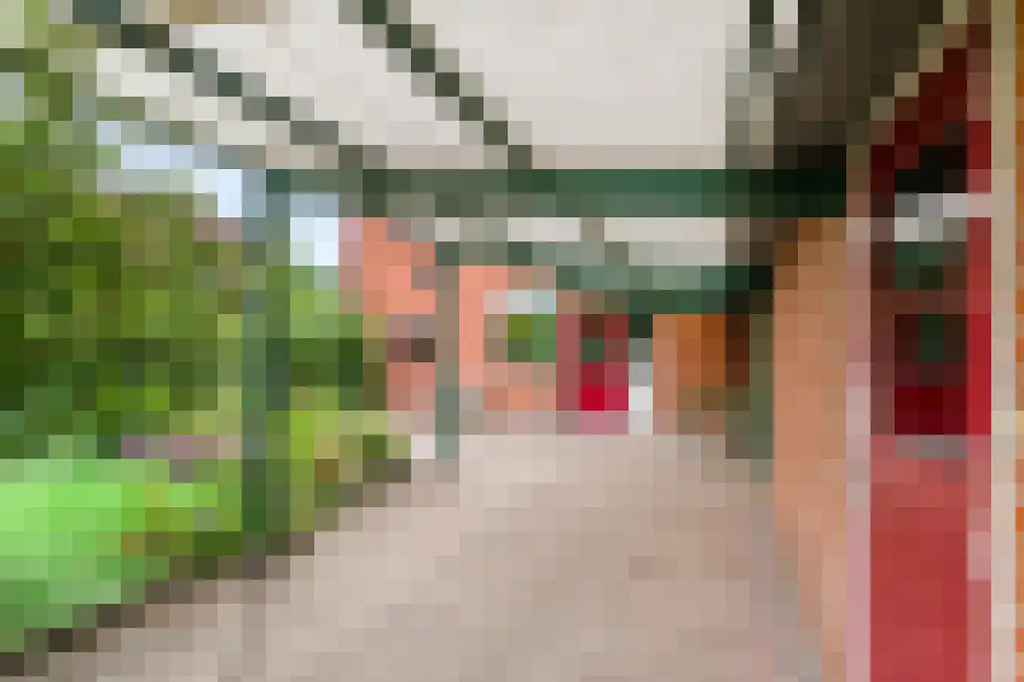 De Wolden 47 Annen thumbnail 26