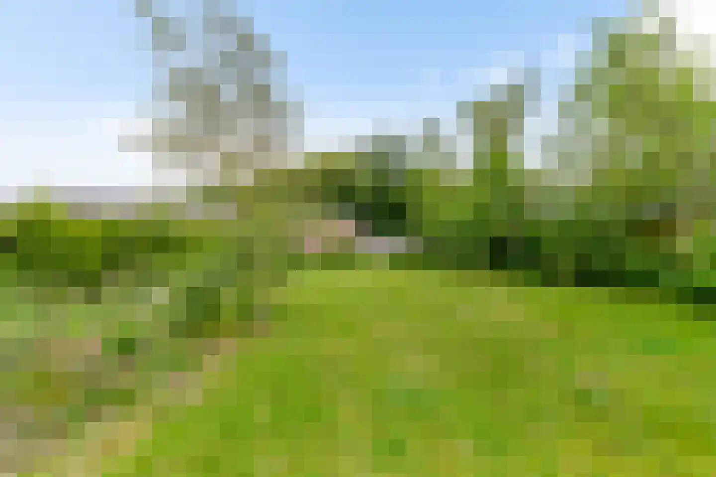 De Wolden 47 Annen thumbnail 28