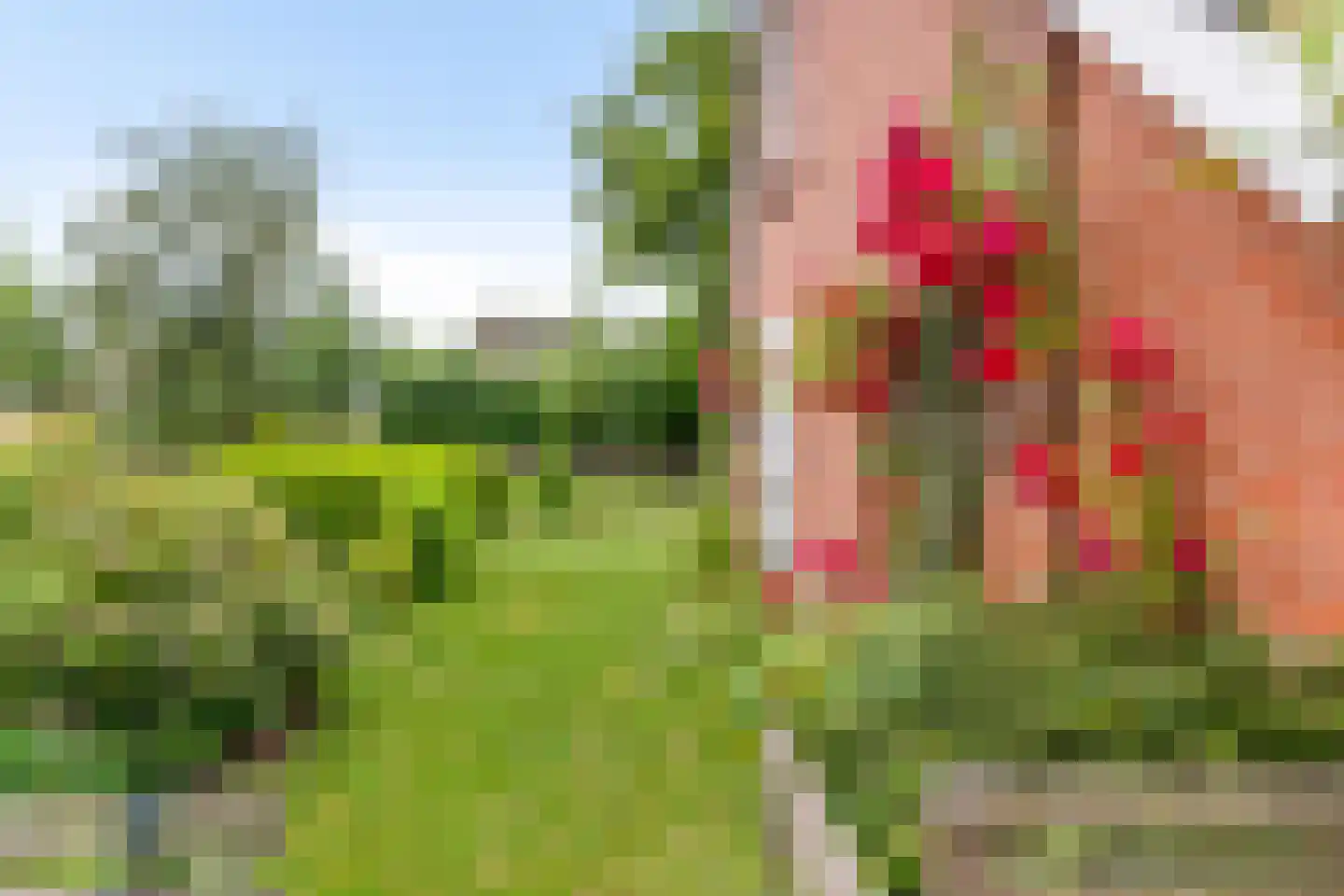 De Wolden 47 Annen thumbnail 31