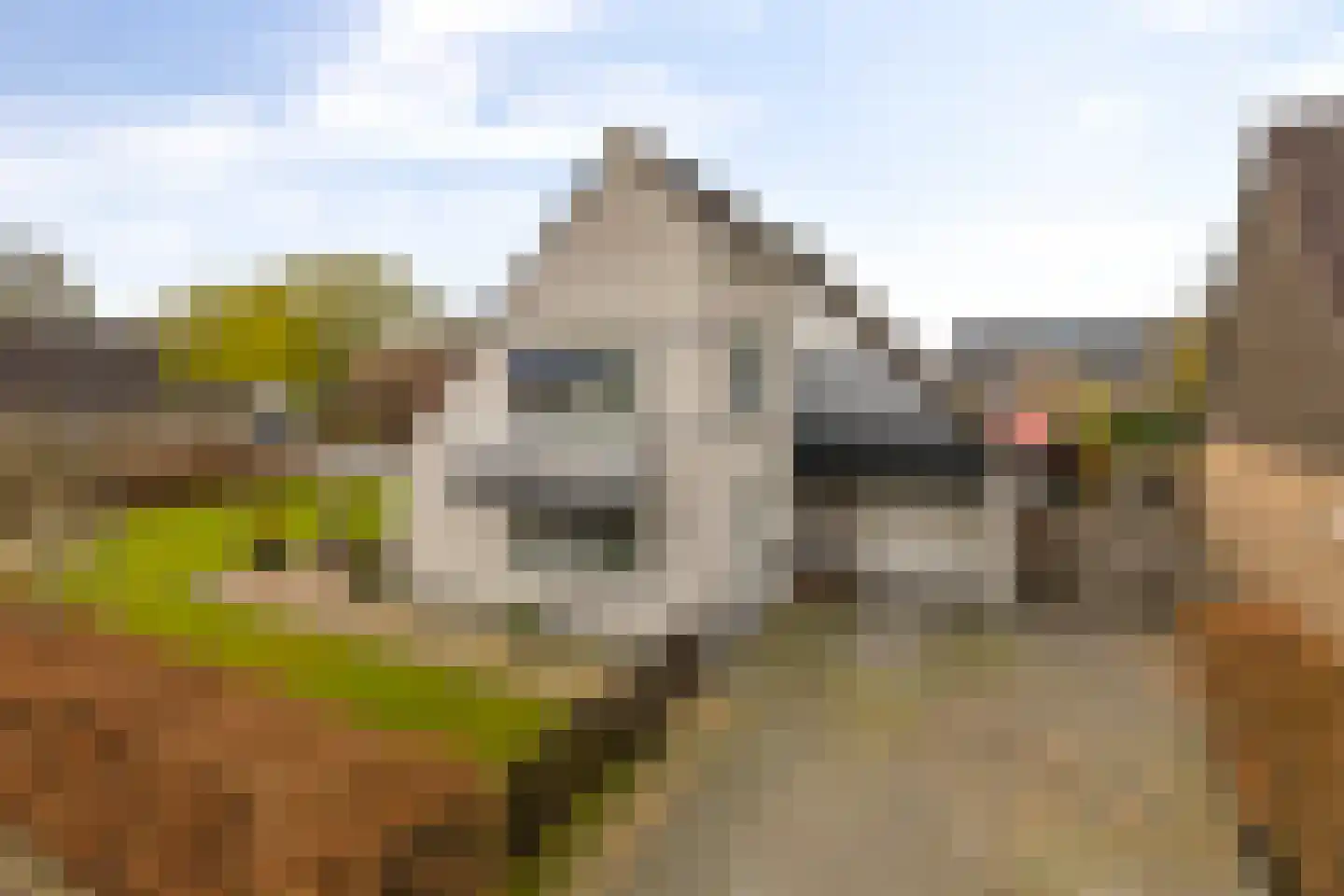 De Wolden 7 Ten Boer