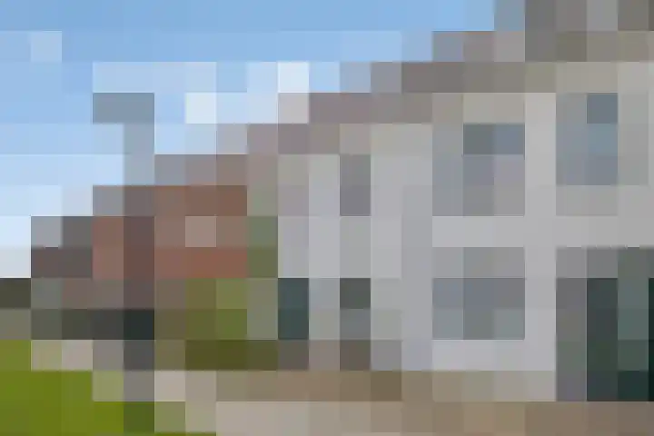De Wolfshop 23 Heerhugowaard thumbnail 4