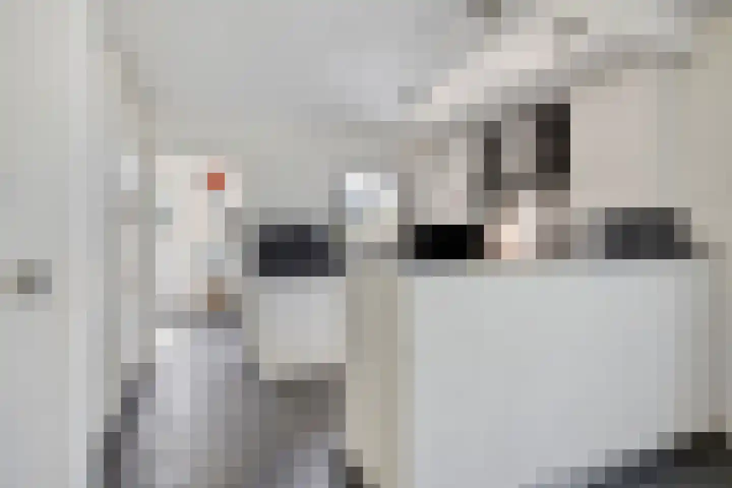 De Wolfstraat 11 Grijpskerke thumbnail 12