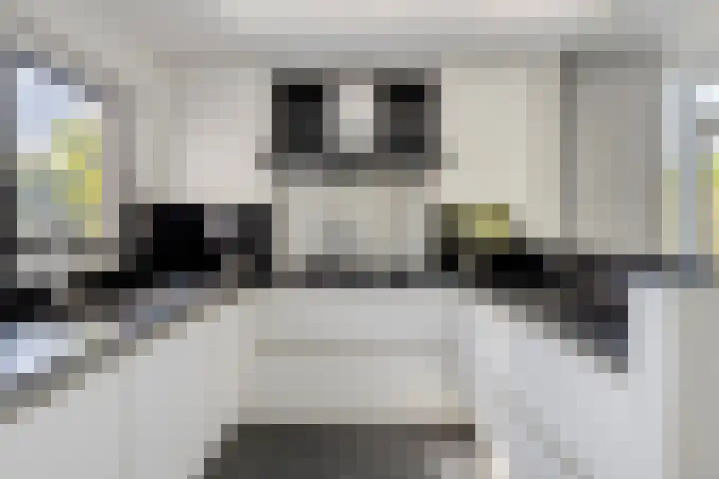 De Wolfstraat 11 Grijpskerke thumbnail 13