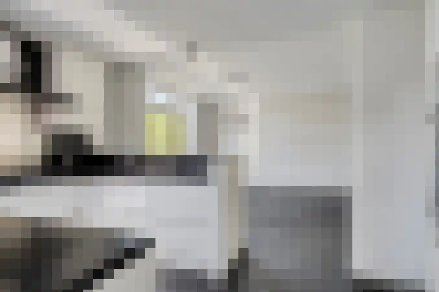 De Wolfstraat 11 Grijpskerke thumbnail 14