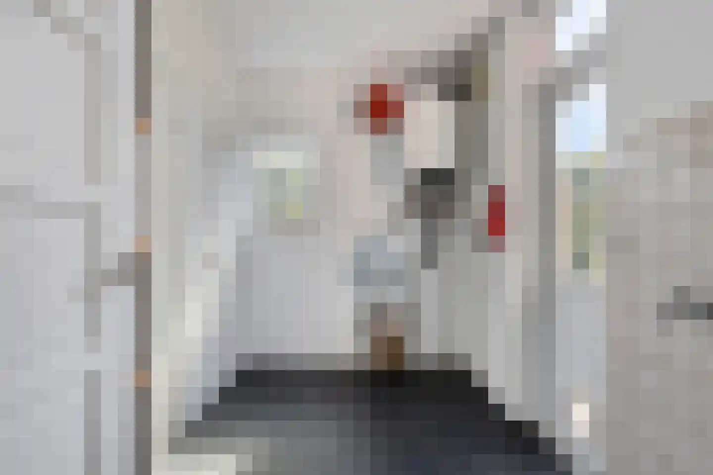 De Wolfstraat 11 Grijpskerke thumbnail 15