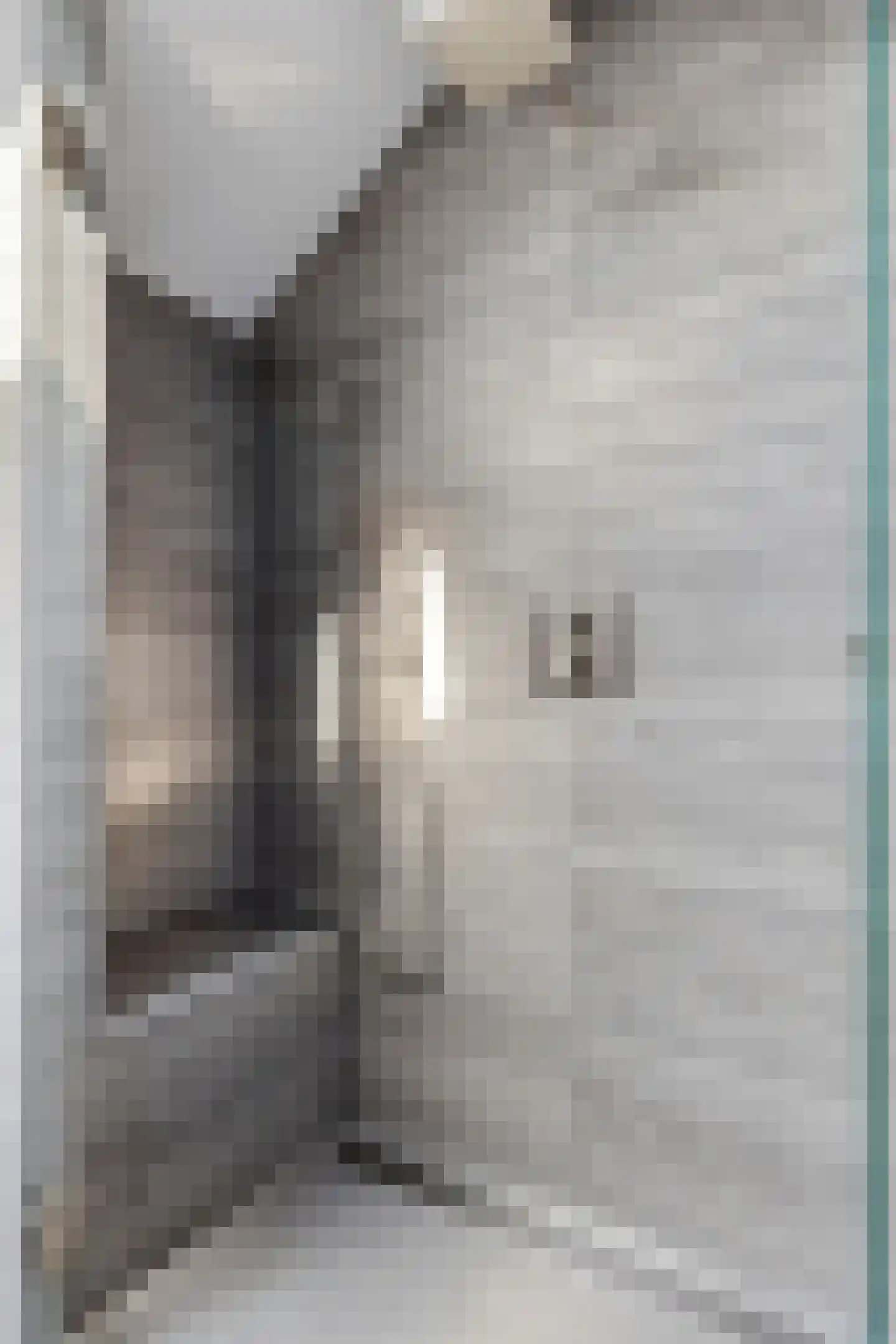 De Wolfstraat 11 Grijpskerke thumbnail 30