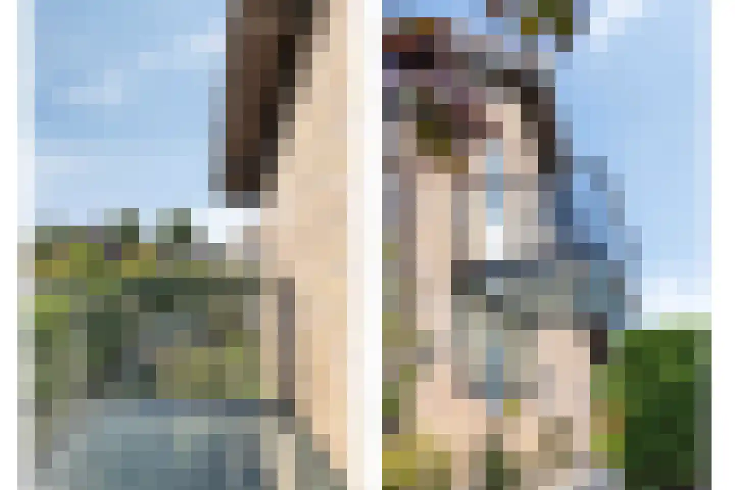 De Wolfstraat 11 Grijpskerke thumbnail 34