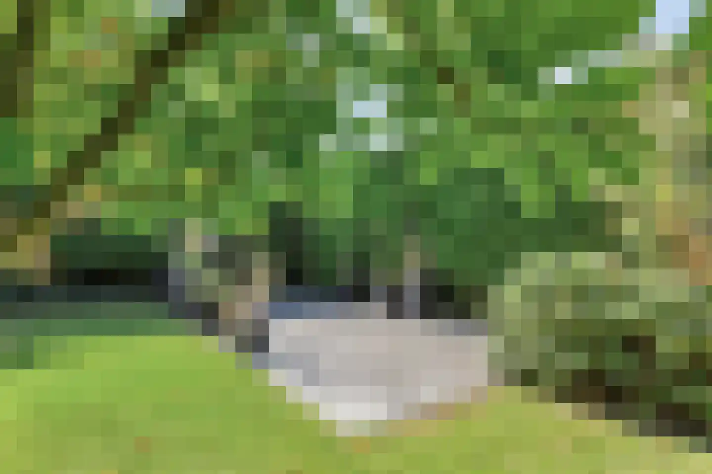 De Wolfstraat 11 Grijpskerke thumbnail 39
