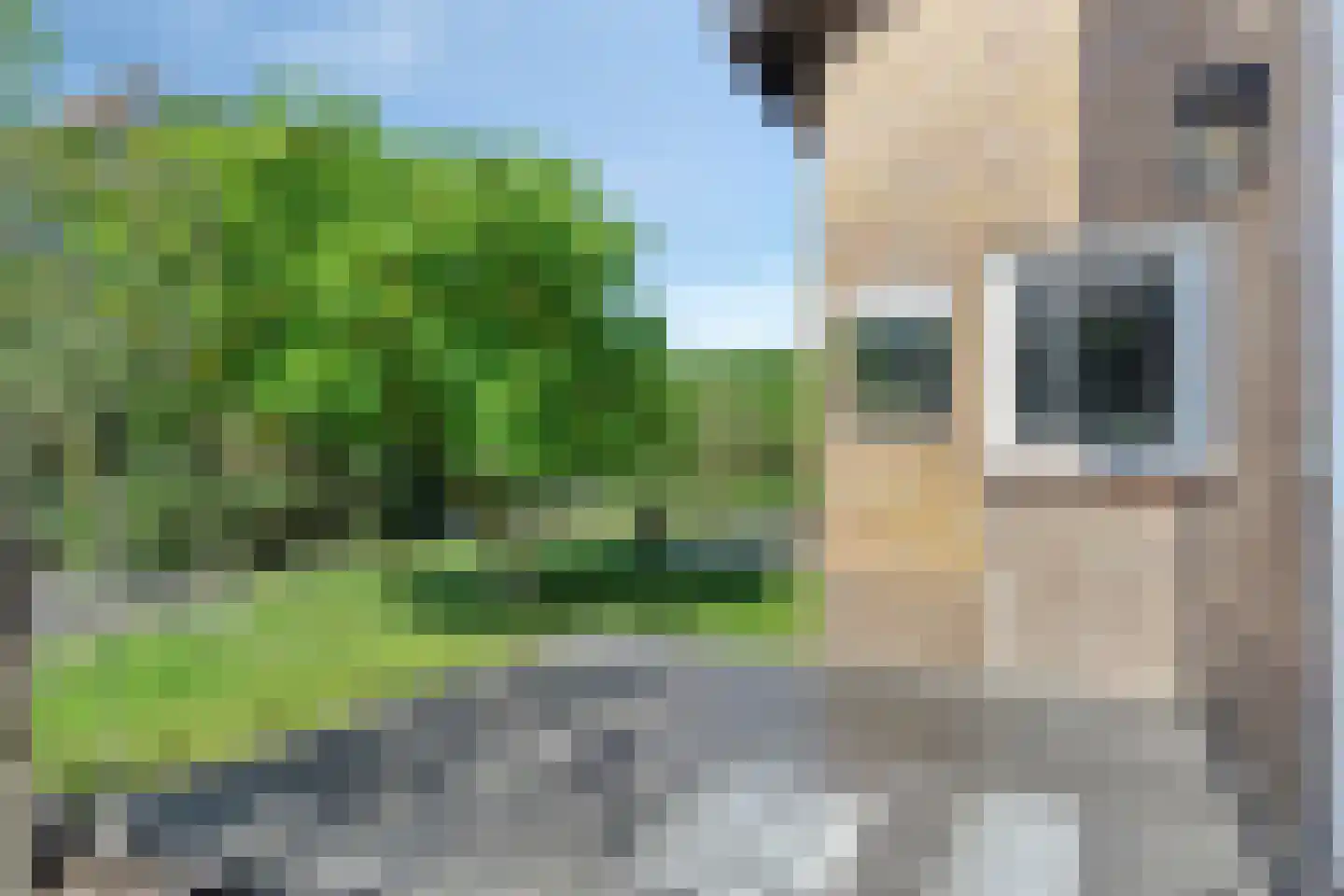 De Wolfstraat 11 Grijpskerke thumbnail 40