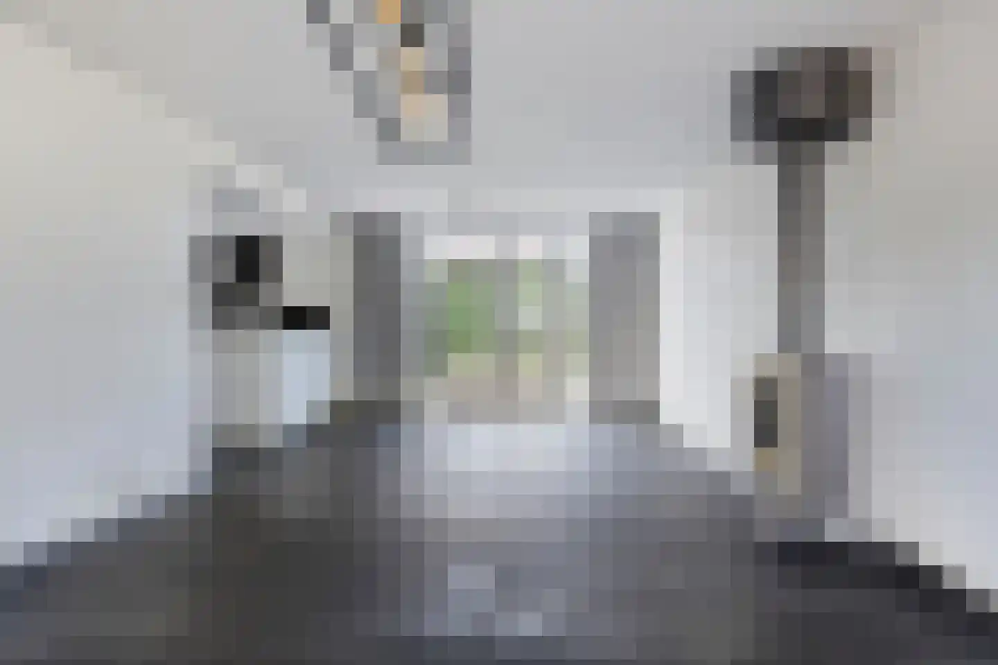 De Wolfstraat 11 Grijpskerke thumbnail 9