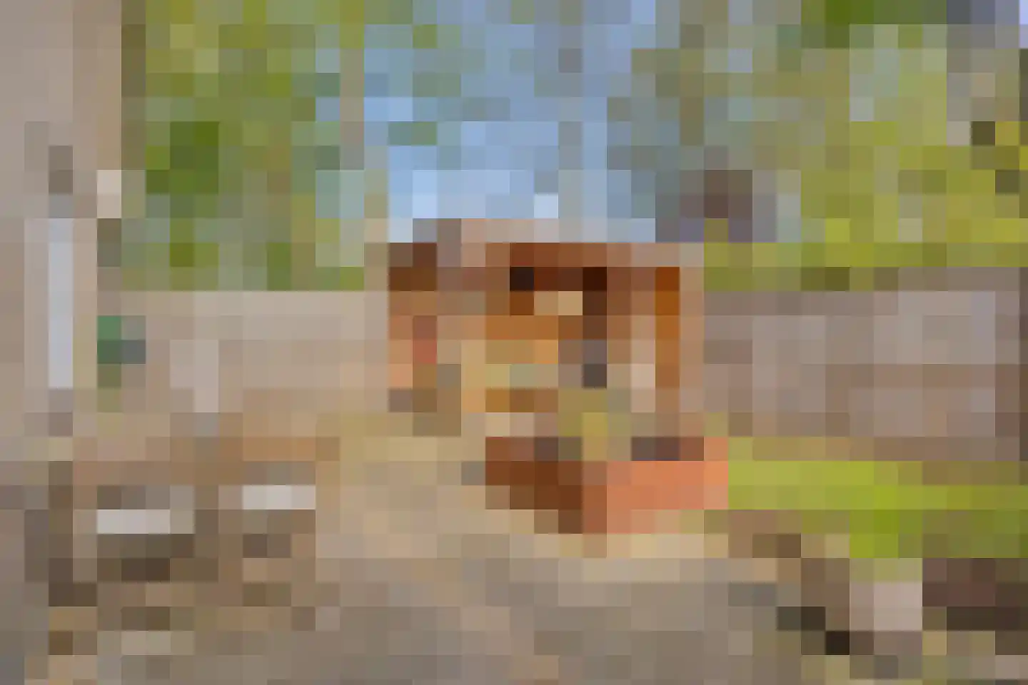De Wolken 17 Dronten thumbnail 33