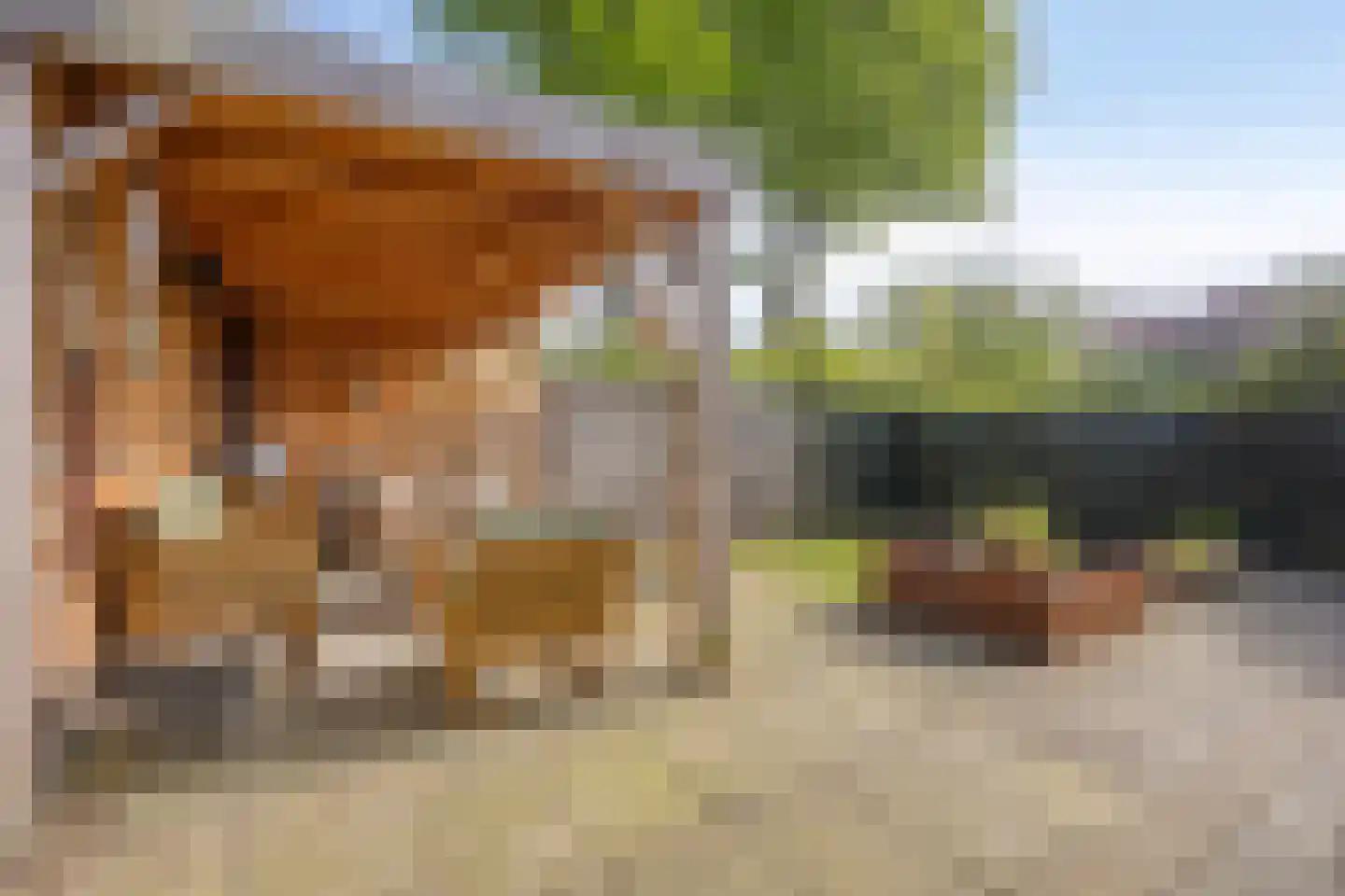 De Wolken 17 Dronten thumbnail 34