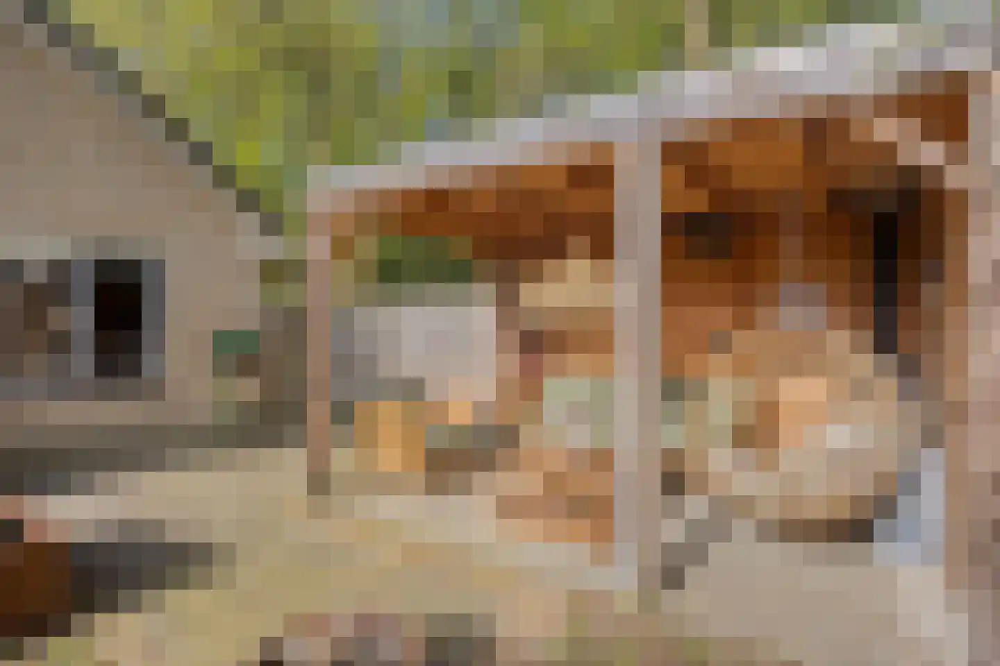 De Wolken 17 Dronten thumbnail 37