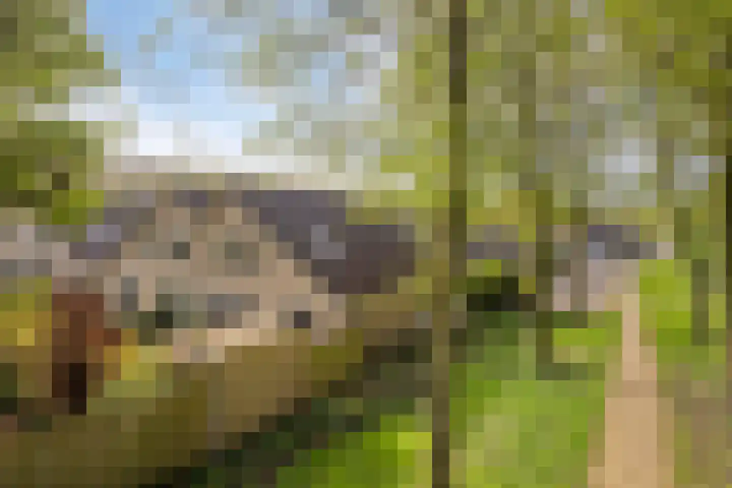 De Wolken 17 Dronten thumbnail 38