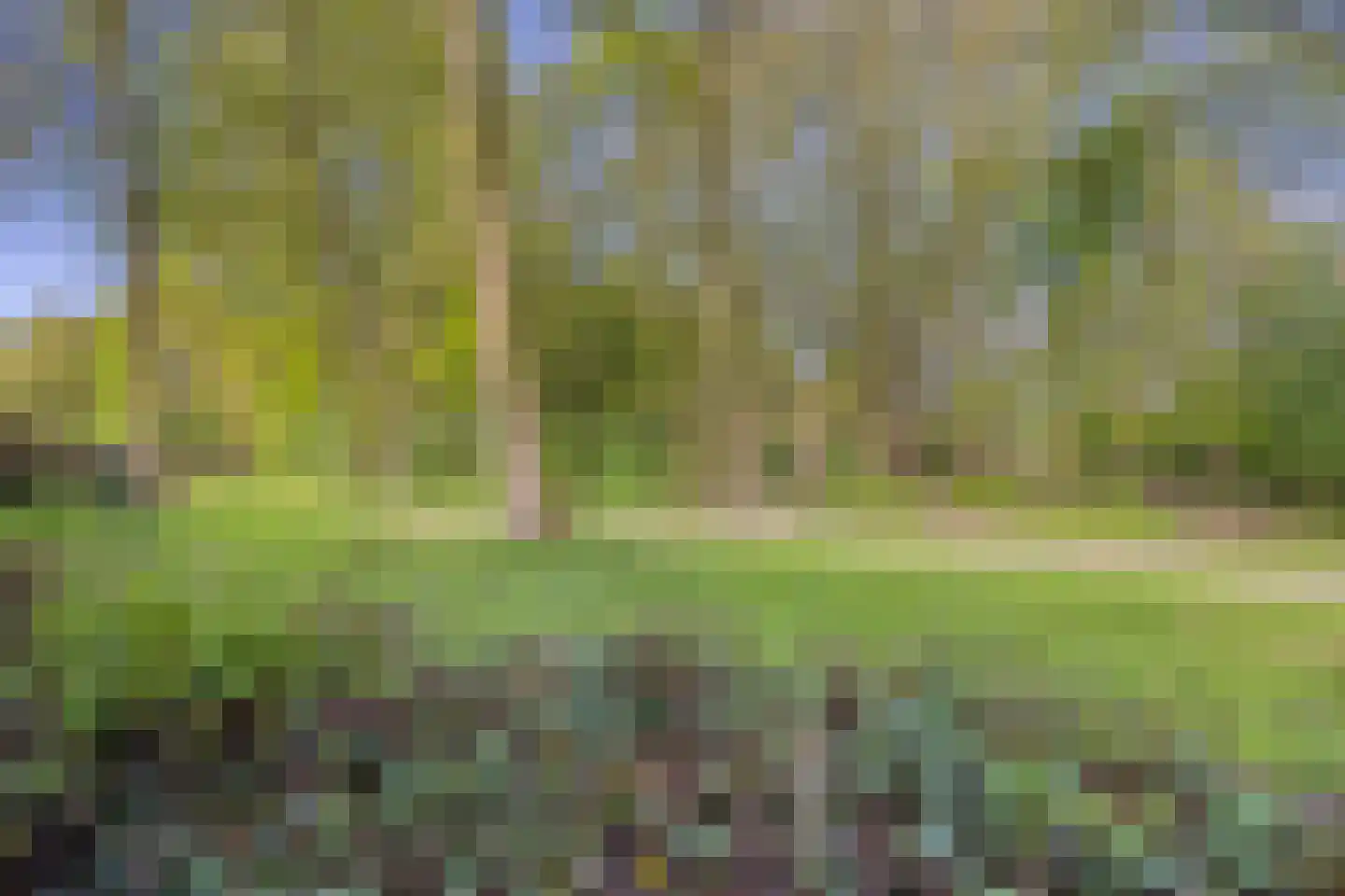 De Wolken 17 Dronten thumbnail 43