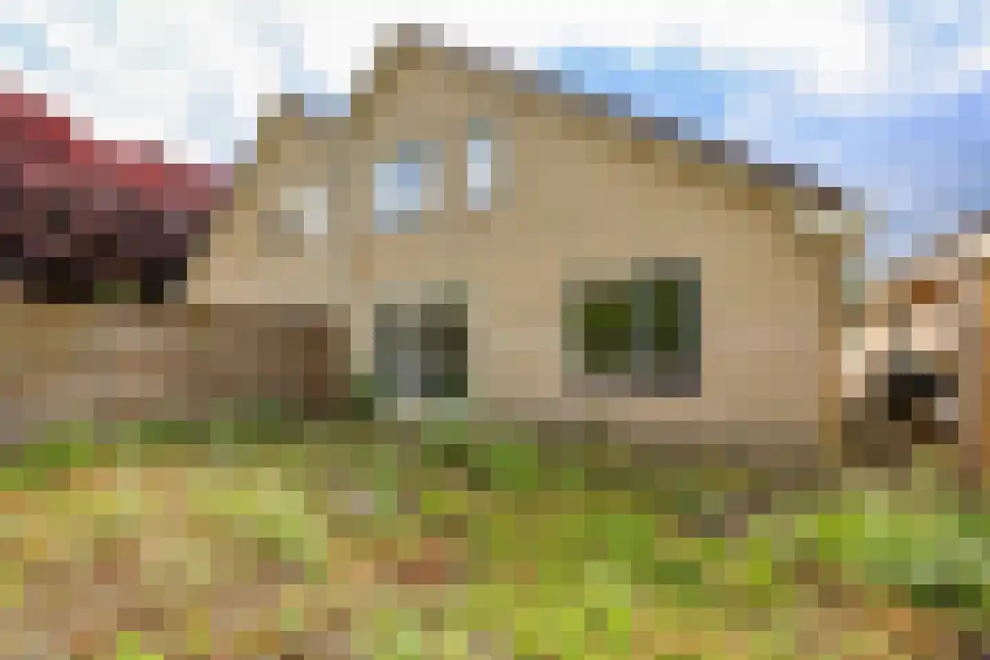 De Wolken 29 Dronten thumbnail 33