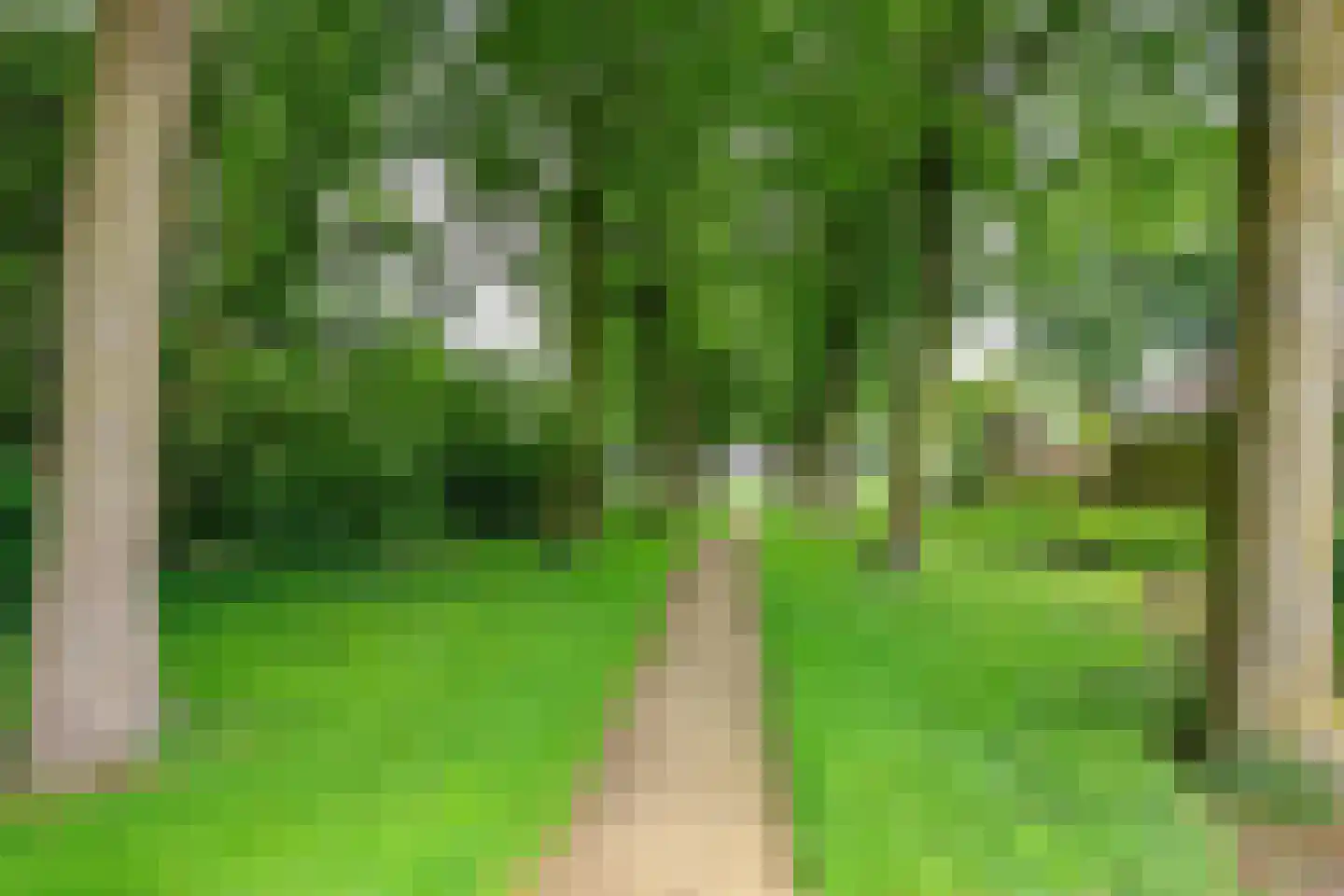 De Wolken 29 Dronten thumbnail 40