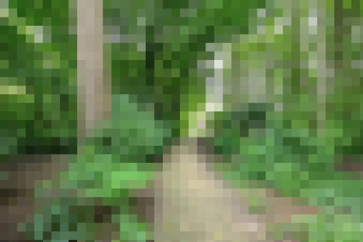 De Wolken 29 Dronten thumbnail 42