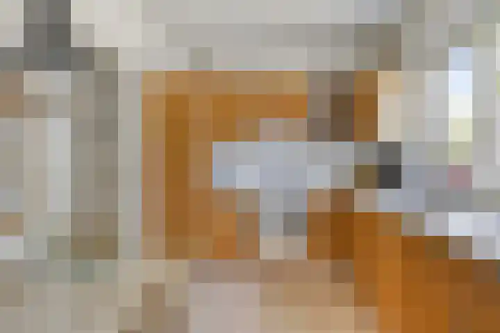 De Wolzaklaan 18 a Eefde thumbnail 12