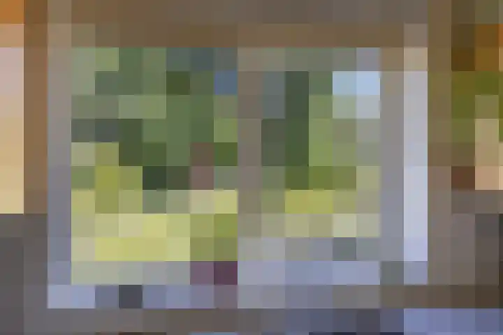 De Wolzaklaan 18 a Eefde thumbnail 13