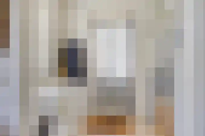 De Wolzaklaan 18 a Eefde thumbnail 15