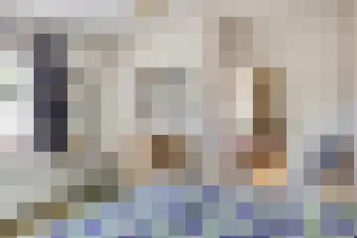 De Wolzaklaan 18 a Eefde thumbnail 16