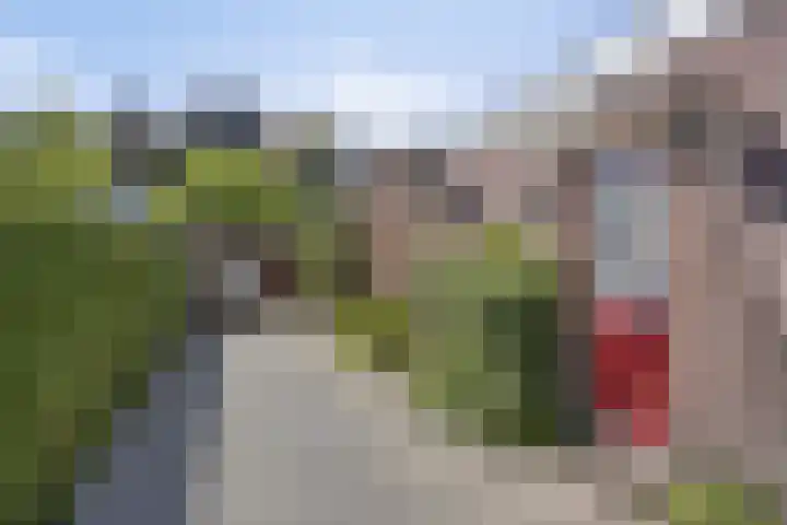 De Wolzaklaan 18 a Eefde foto 2